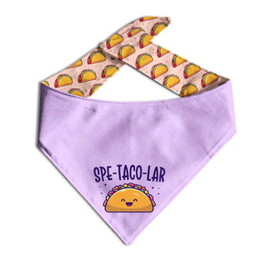 Spe-Taco-Lar Dog Bandana | Blue & Lime - Clive and Bacon