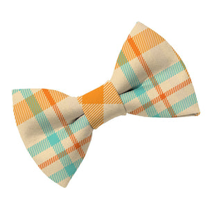Spice Plaid Dog Bow Tie - Clive and Bacon