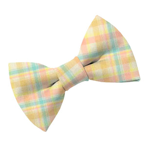 Spring Party Flannel Dog Bow Tie - Clive and Bacon