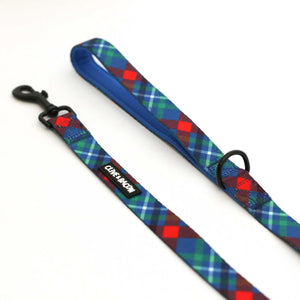 Spruce Plaid Padded Dog Leash - Clive and Bacon