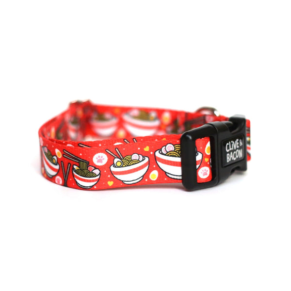 Standard 1" Fi Compatible Dog Collar - Clive and Bacon