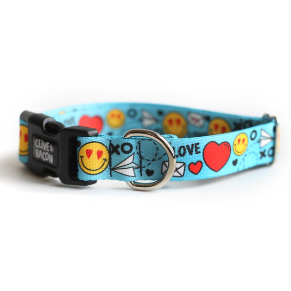 Standard 1" Fi Compatible Dog Collar - Clive and Bacon