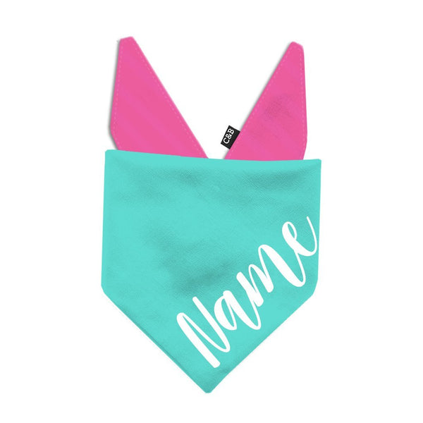 Stop Trying to Make Fetch Happen Bandana | Pink - Clive and Bacon