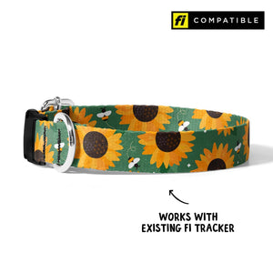 Sunflower Fi Compatible Collar - Clive and Bacon