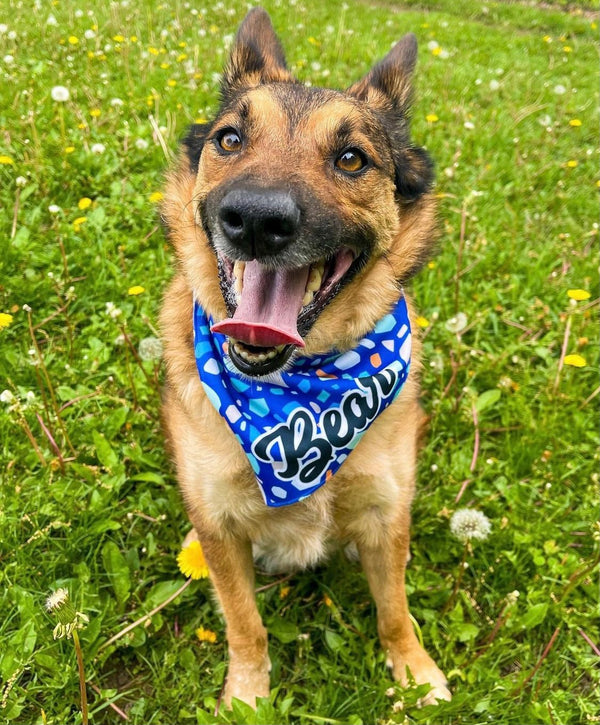 Terrazzo Cooling Bandana - Clive and Bacon