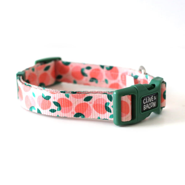 Thin & Sleek Fi Compatible Dog Collar - Clive and Bacon