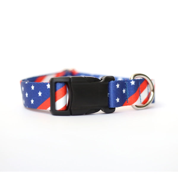 Thin & Sleek Fi Compatible Dog Collar - Clive and Bacon