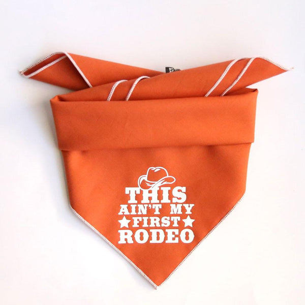 This Ain't My First Rodeo Square Dog Bandana - Clive and Bacon