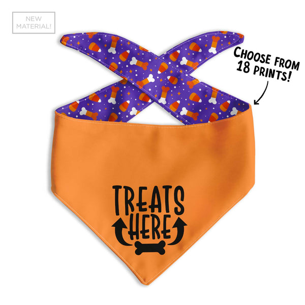 Treats Here Dog Bandana - Clive and Bacon