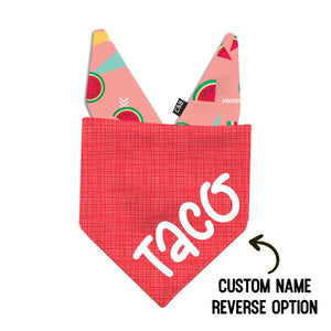 Watermelon Crush Dog Bandana - Clive and Bacon