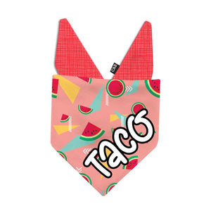 Watermelon Crush Dog Bandana - Clive and Bacon