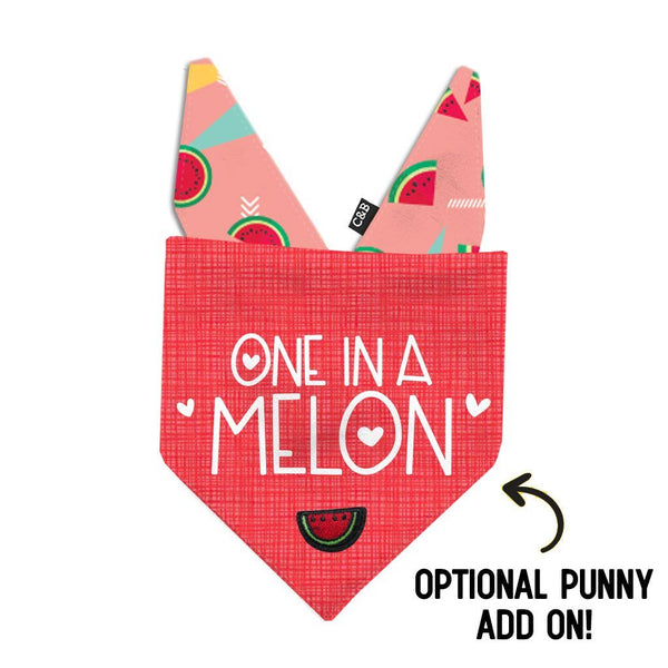 Watermelon Crush Dog Bandana - Clive and Bacon