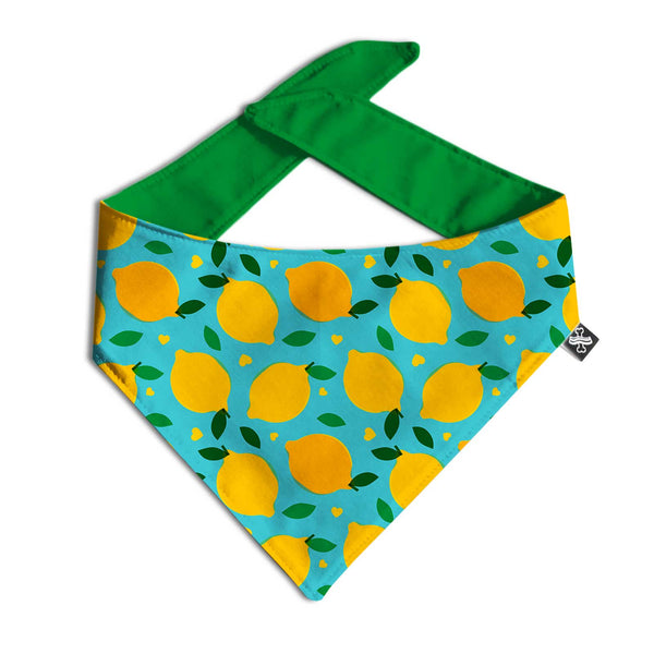 Wholesale Pattern Bandanas - Clive and Bacon