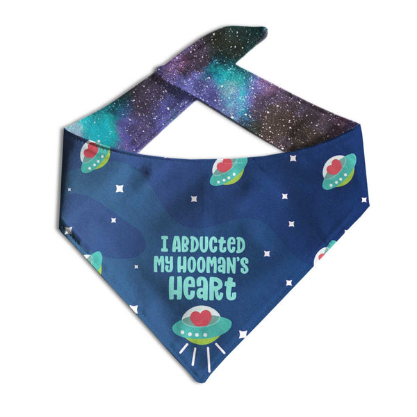 Wholesale Pattern Bandanas - Clive and Bacon