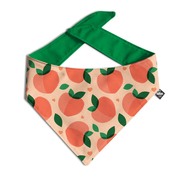Wholesale Pattern Bandanas - Clive and Bacon