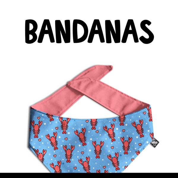 Wholesale Pattern Bandanas - Clive and Bacon