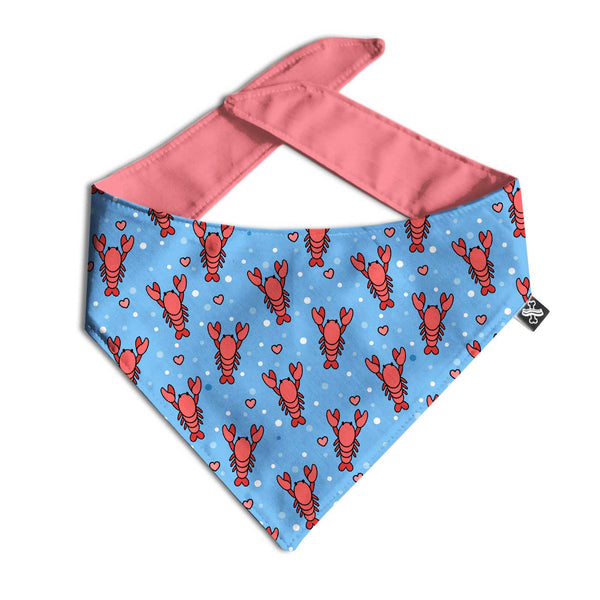 Wholesale Pattern Bandanas - Clive and Bacon